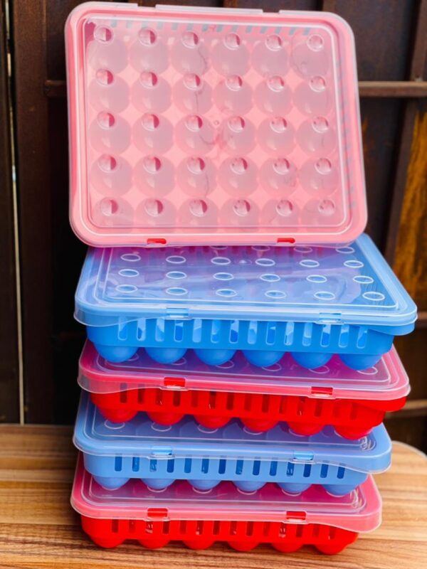 EGG RACK 30PCS WITH COVER 85876986RE55