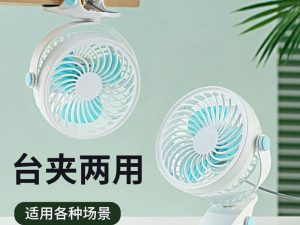 DP FAN SMALL 6955680