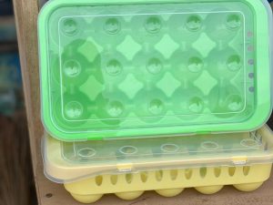 EGG RACK SMALL 15PCS E679890