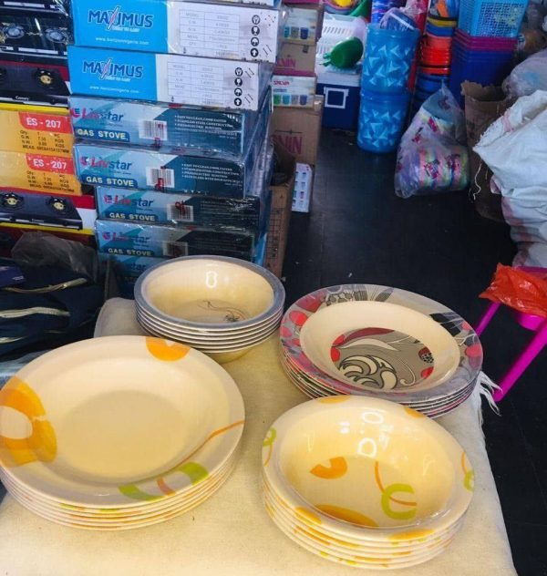 FLOWERY UNBREAKABLE PLATE SOUP HALF DOZEN