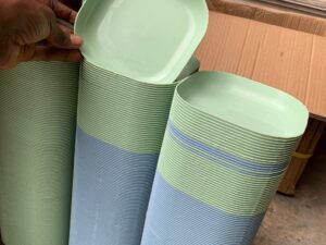 PLASTIC COLORED PLATE 6PCS